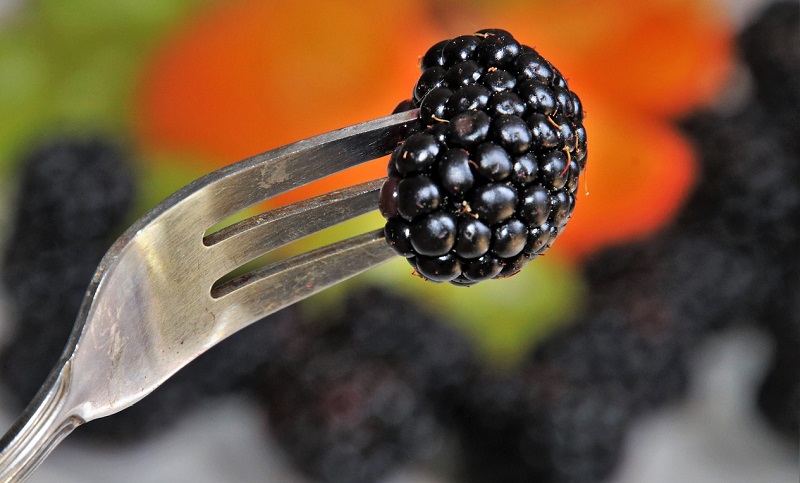 fork with a berry on it
