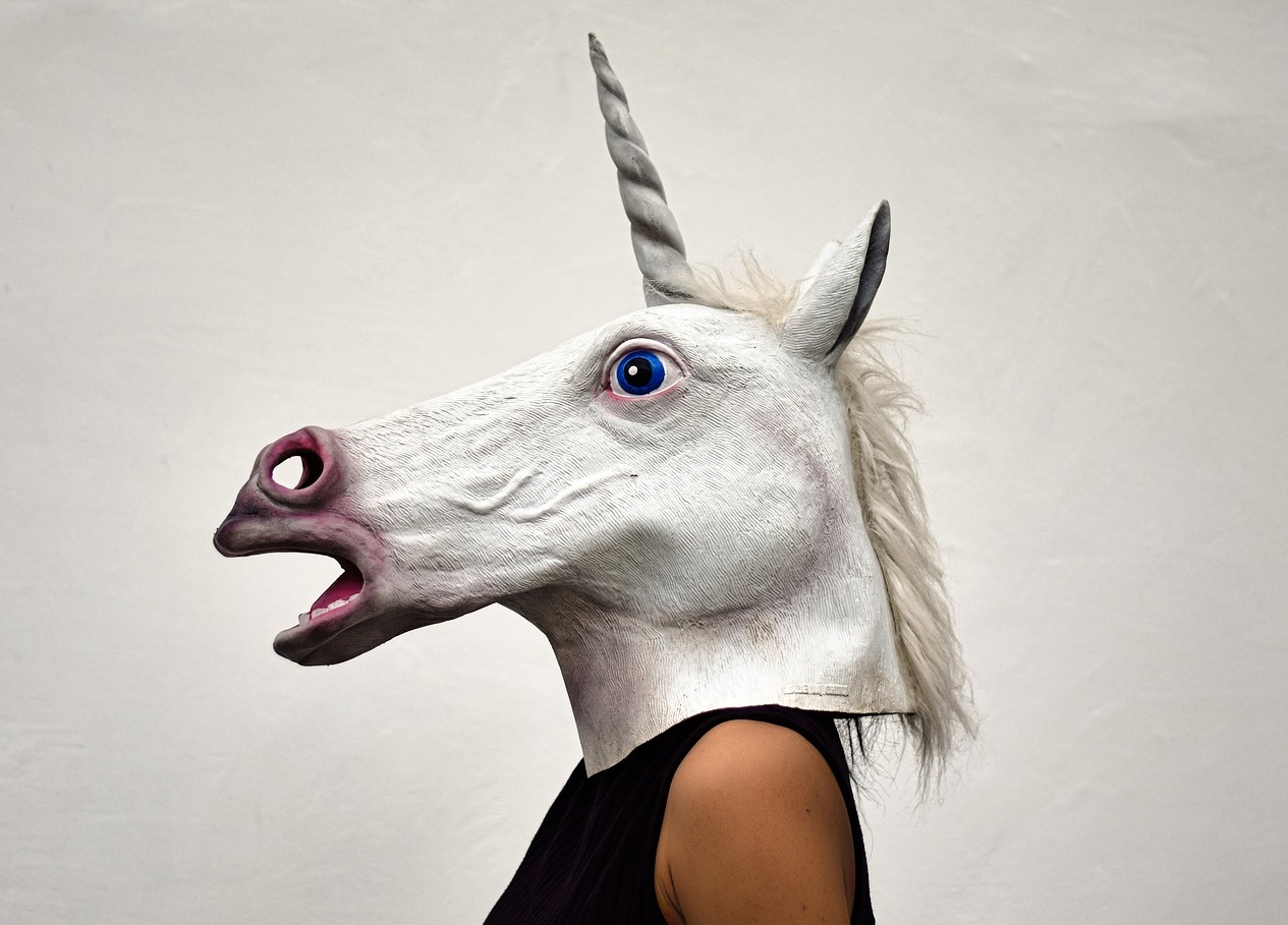 woman wearing a unicorn mask