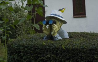 woman looking through binoculars