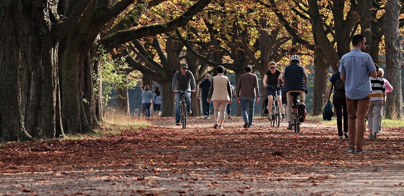 people walking and biking in the autumn